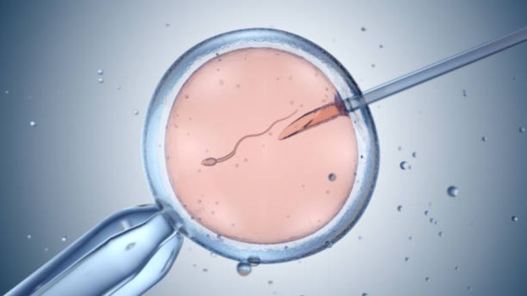 Fertility & IVF Breakthroughs: 5 Success Rates That Inspire Hope 1 IVF