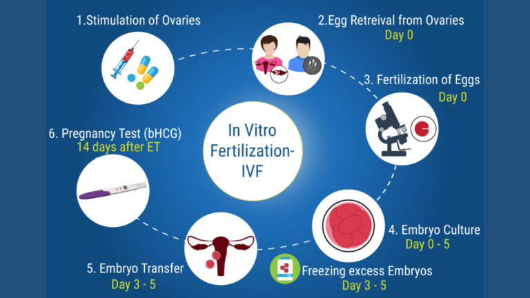 Fertility & IVF Breakthroughs: 5 Success Rates That Inspire Hope 2 IVF
